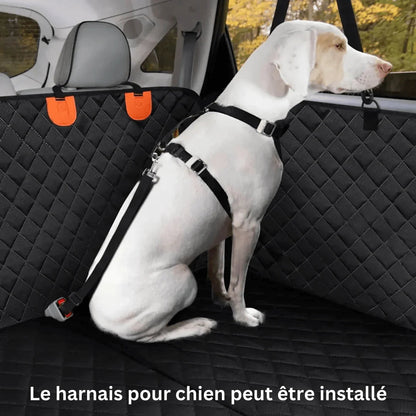 Dog Car Seat