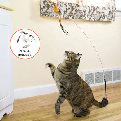 Interactive Cat Toy Set