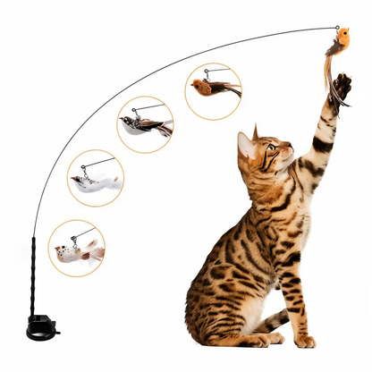 Interactive Cat Toy Set