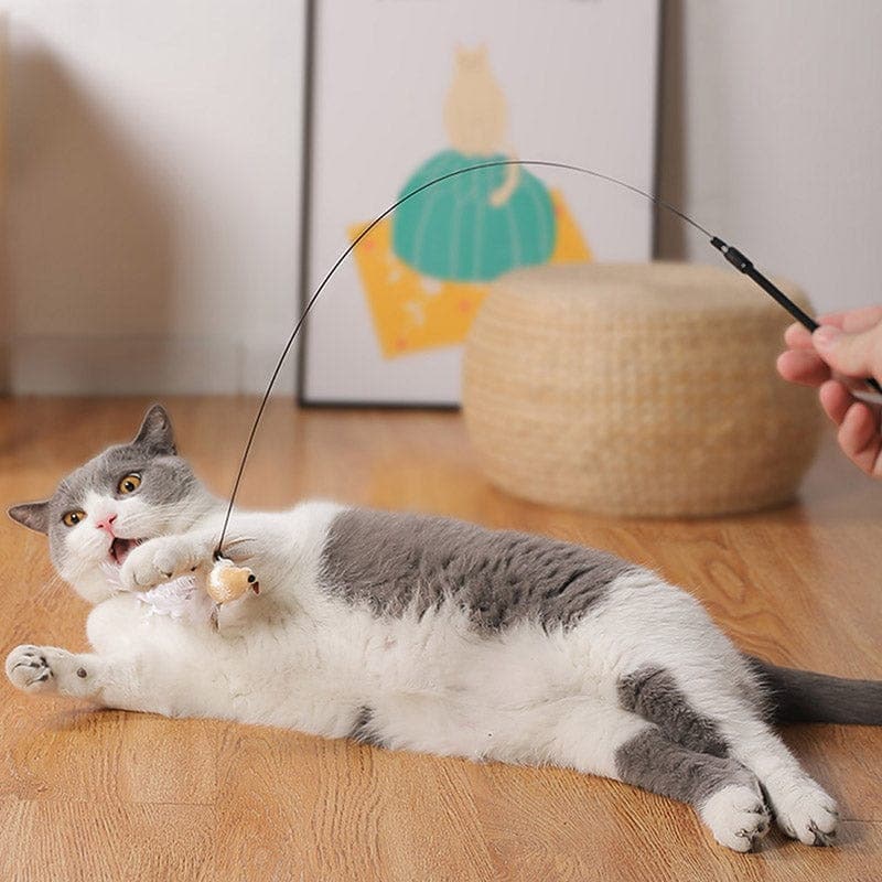 Interactive Cat Toy Set
