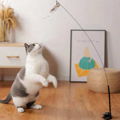 Interactive Cat Toy Set